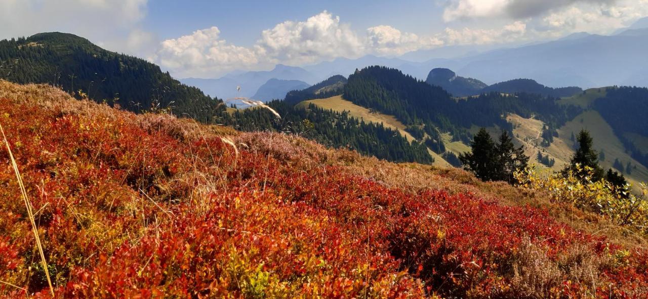 Fewo Niederndorferberg エクステリア 写真